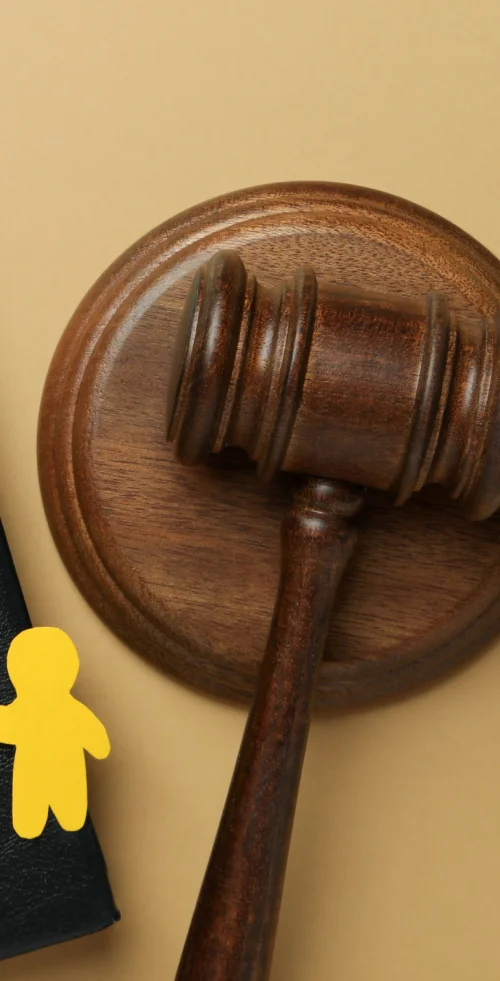 legal representation for a client